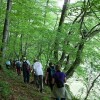 planinci_031.jpg