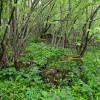 gora_016.jpg