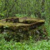 gora_009.jpg