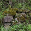 gora_007.jpg