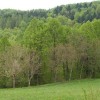gora_030.jpg