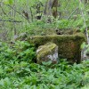 gora_005.jpg