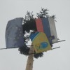 047.jpg