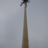 rozno_009.jpg