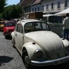 img_7261_000.jpg