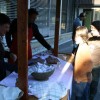 pozdrav_pomladi_iz_sevnice020.jpg