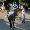 pozdrav_pomladi_iz_sevnice095.jpg