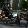 zmaga_habinca_na_15__finalu_slo_salamiad010.jpg