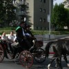 zmaga_habinca_na_15__finalu_slo_salamiad008.jpg