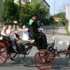 zmaga_habinca_na_15__finalu_slo_salamiad009.jpg