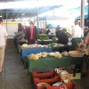 img_8472.jpg