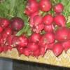img_8445.jpg