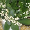 img_8452.jpg