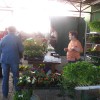 img_8454.jpg