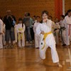 karate6_000.jpg