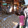 cebela07.jpg