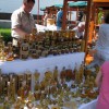 cebela09.jpg