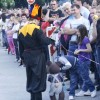 karneval_sevnica_2011_183.jpg