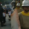 karneval_sevnica_2011_260.jpg