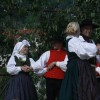 karneval_sevnica_2011_164.jpg