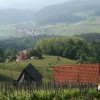 9__pohod_po_krekovih_stezicah_024.jpg