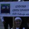 karneval_sevnica_2011_156.jpg