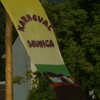 karneval_sevnica_2011_276.jpg
