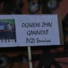 karneval_sevnica_2011_149.jpg