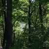 9__pohod_po_krekovih_stezicah_025.jpg