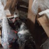 vaja_re_ujemo__ivljenja_2011_007.jpg