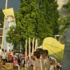 karneval_sevnica_2011_279.jpg