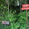9__pohod_po_krekovih_stezicah_041.jpg