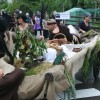 karneval_sevnica_2011_070.jpg