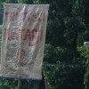 karneval_sevnica_2011_172.jpg