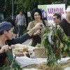 karneval_sevnica_2011_188.jpg