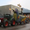 karneval_sevnica_2011_092.jpg