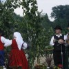 karneval_sevnica_2011_162.jpg