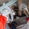 vaja_re_ujemo__ivljenja_2011_008.jpg