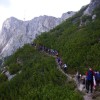 dobrac_009.jpg