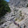 dobrac_008.jpg