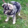 zuzu_023.jpg