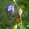 img_9582.jpg