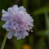 img_9460.jpg
