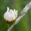 img_9473.jpg