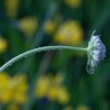 img_9464.jpg