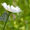 img_9579.jpg