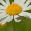 img_9565.jpg