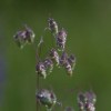 img_9469.jpg