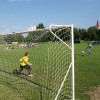 p5228799.jpg
