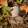 img_9496.jpg